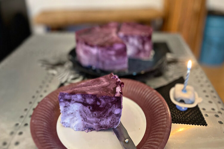 DIASHOP Blaubeer-Quark-Kuchen